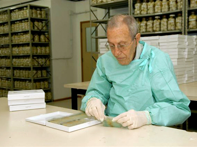  José Carvalho Filho, 73 anos, integra equipe de restauradores do museu (Fotos: Gutemberg Brito) 