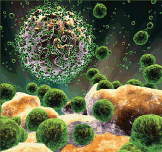  O vírus HIV infectando uma célula (Foto: Jeff Johnson/APS Physics) <BR><br />
 