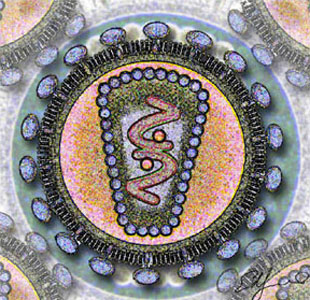  Imagem estilizada de uma seção transversal do vírus HIV 