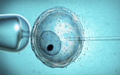  A fertilização <EM>in vitro</EM> é um dos métodos mais comuns de reprodução assistida 