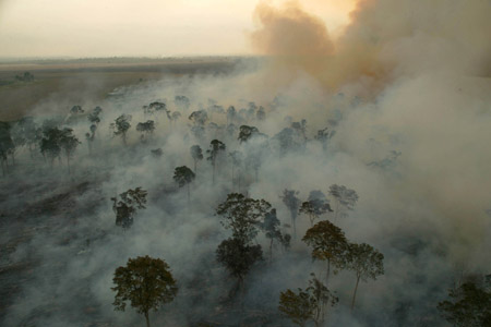  O programa vai mostrar o desmatamento da Amazônia e o esgotamento dos recursos naturais<BR><br />
(Foto: Greenpeace) 