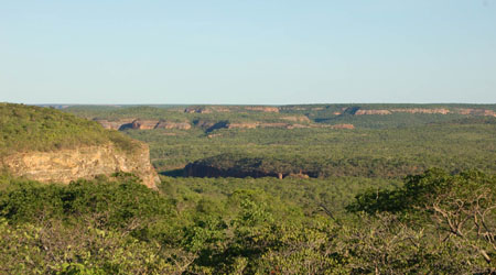  Vista do Parque Nacional da Serra da Capivara (Foto: Márcia Chame) 