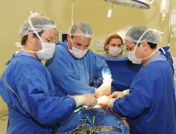 Estudo analisa efetividade de realização de transplantes nos estados brasileiros