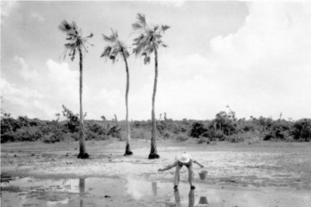  Guarda anti-larvário do Serviço Nacional de Malária espalhando verde-paris em foco de <EM>Anopheles gambiae</EM>, transmissor da doença, no Ceará, em 1940 