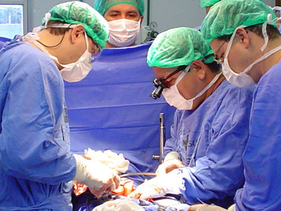  A fila para transplantes no SUS para cada órgão ou tecido é única e o atendimento por ordem de chegada, considerados critérios técnicos, geográficos, de compatibilidade e de urgência específicos para cada órgão 