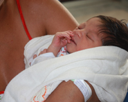 Fiocruz Pernambuco investiga dados sobre dengue entre bebês