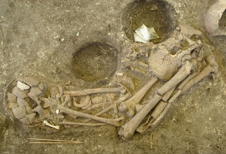  Esqueleto adulto encontrado no sítio arqueológico Cubatão 1 (Fotos: Sheila M. de Souza) 