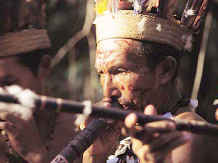  Em Iauareté, um índio tariano se ornamenta para uma cerimônia 