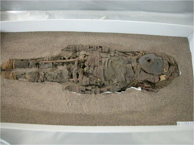  Exemplar de múmia chinchorro (Foto: arquivo de Adauto de Araújo) 
