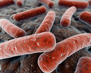 Dissertação aponta fatores que dificultam a cura da tuberculose
