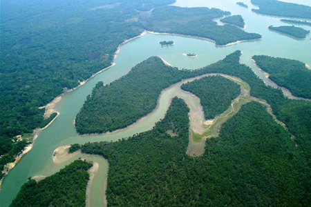  Amazônia: território onde se trava uma acirrada disputa entre sustentabilidade e destruição 