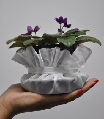  O modelo consiste em uma tela que, colocada em pratos e vasos de flores, impede a procriação do mosquito transmissor da dengue 