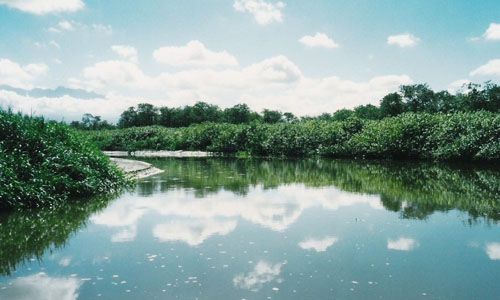  A bacia hidrográfica do Rio Guapimirim é uma das que fazem parte do estudo (Foto: Guapi.com) 