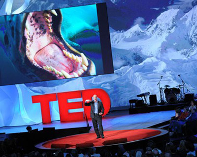  O TED é um modelo de conferência cujo objetivo é divulgar ideias inovadoras em até 18 minutos 