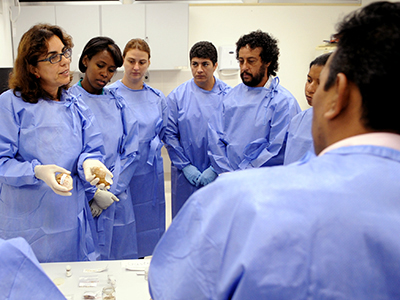  Profissionais de saúde fazem curso de capacitação no Laboratório de Referência Nacional em Malacologia Médica (Foto: Gutemberg Brito) 