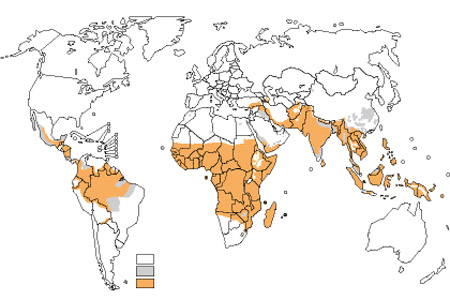  Em laranja, no mapa, as áreas onde ocorre transmissão da malária e em cinza as áreas com risco limitado 