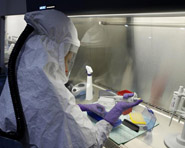 Nova metodologia leva apenas 24 horas para diferenciar amostras de rotavírus A