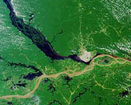 Estudo dimensiona a incidência da hanseníase no Amazonas