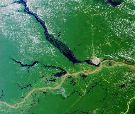  O encontro das água escuras do Rio Negro com as barrentas do Rio Solimões, em Manaus (Foto: Go Brasil) 