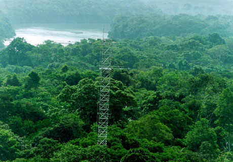  Torre de observação do Experimento de Grande Escala da Biosfera na Amazônia (Foto: Inpa) 