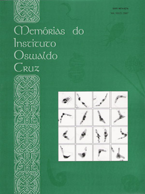  A capa desta edição das <EM>Memórias do Instituto Oswaldo Cruz</EM> traz uma imagem com características citológicas atípicas observadas durante divisão celular de <EM>Herpetomonas samuelpessoai</EM> 