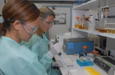  A análise por PCR em tempo real de amostras de soro e saliva para detecção e quantificação do vírus da hepatite A indicou a presença de maior carga viral no fluido oral 