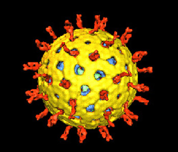  Imagem estilizada de rotavírus (Arte: Universidade Brown) 