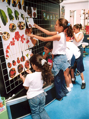  Crianças participam de atividades em um dos espaços do Museu da Vida da Fiocruz 