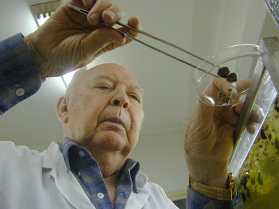  O pesquisador Waldimir Lobato Paraense. Foto: Peter Ilicciev. 