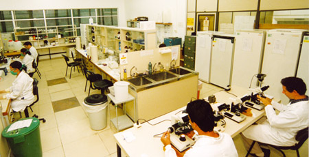  O Serviço de Referência Nacional em Filariose fez, em 2007, 8.762 exames laboratoriais e 375 consultas 
