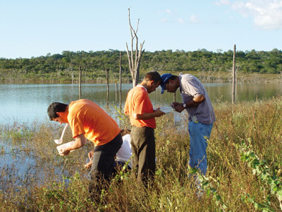  Nas margens de rios, o trabalho de coleta de mosquitos transmissores de doenças (Foto: Anthony Érico) 
