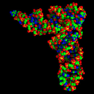  Desenho estilizado de molécula RNA (Arte: Cary Academy) 