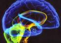 Estudo investiga fatores associados ao câncer de cérebro