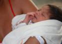 Fiocruz Pernambuco investiga dados sobre dengue entre bebês