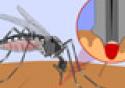 Trabalho investiga mutações no genoma do vírus da dengue