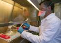 Países do Mercosul criam rede de investigação em biomedicina