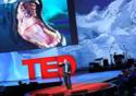 Fiocruz é instituição pioneira na saúde a aderir à conferência TED