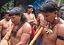 Tuberculose tem alta incidência em populações indígenas de Rondônia