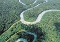 Internacionalização da Amazônia gera polêmica há décadas