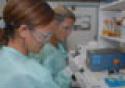 Pesquisa valida análise de saliva para detecção rápida do vírus da hepatite A