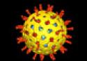 MS apresenta dados de vacina anti-rotavírus em Jornada de Imunizações
