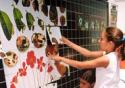Rio de Janeiro será palco de debate sobre a mediação em museus de ciência