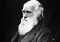 Mostra revela universo que inspirou Darwin a criar a teoria da seleção natural