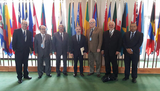 ENSP compõe comitiva da Fiocruz que participa de fórum sobre ciência da ONU